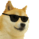 /assets/images/cybersci/doge.gif