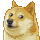 /assets/images/cybersci/doge_group.png